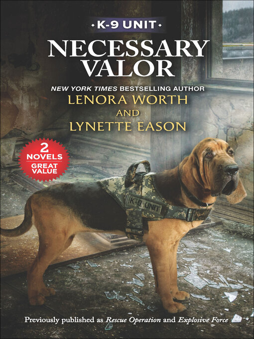 Title details for Necessary Valor by Lenora Worth - Available